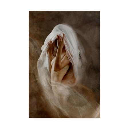 Olga Mest 'White Veil' Canvas Art,30x47
